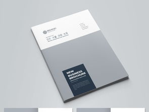 简约大气蓝色科技公司软件开发宣传册模板